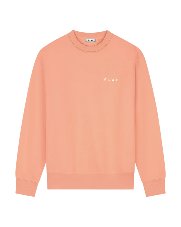Brushstroke Face Crewneck - Burnt Coral